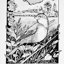ejercicio. Traditional illustration project by norma mainero - 06.25.2024