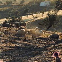 Mi proyecto del curso: Fotografía de viajes con smartphone para principiantes . Fotografi Seluler, Fotografi Luar Ruang, Dan Fotografi Instagram proyek oleh Cristina - 06.26.2024