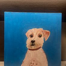 Il mio progetto del corso: Ritratto realistico di animali da compagnia con la pittura a olio. Un proyecto de Bellas Artes, Pintura, Pintura al óleo e Ilustración naturalista				 de giorgia_gasparini - 25.06.2024