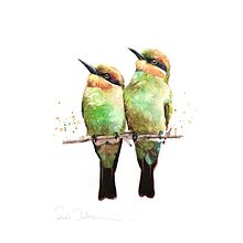 Bee eaters in watercolour. Free step by step to all my website subscribers . Watercolor Painting project by Sarah Stokes - 06.26.2024
