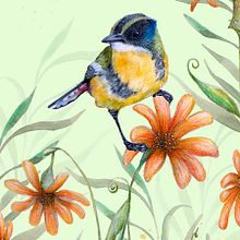 Pájaros en acuarela. Un progetto di Illustrazione tradizionale, Fotografia, Creatività, Disegno a matita e Disegno di Natalia Eggui - 27.06.2024