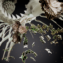 My project for course: 3D jewel-like designs inspired by nature. Un projet de 3D , et Modélisation 3D de wiggi - 27.06.2024