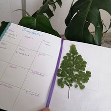 Mi proyecto del curso: Cuaderno de viajes: documenta emociones y recuerdos. Un progetto di Sketchbook, Narrativa, Scrittura di narrativa non-fiction e Scrittura creativa di lesliecsv - 26.06.2024