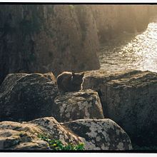 Meu projeto do curso: Introdução à fotografia analógica com luz natural. Een project van Fotografie y  Analoge fotografie van Maria Heloisa Augusto da Silva - 28.06.2024