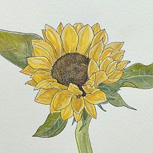 Botanical Sketchbooking: A Meditative Approach. Projekt z dziedziny Trad, c, jna ilustracja, Sketching,  R, sunek, Malowanie akwarelą, R, sunek botaniczn i Sketchbook użytkownika LuiseKrahl - 25.06.2024
