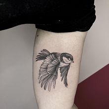 Il mio progetto del corso: Tatuaggio per principianti. Projekt z dziedziny Projektowanie tatuaż użytkownika Benedetto Di caccamo - 30.06.2024