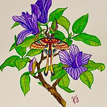 My project for course: Naturalistic Illustration in Watercolor and Gouache. Un progetto di Belle arti, Pittura, Pittura ad acquerello, Illustrazione botanica, Illustrazione naturalistica e Pittura gouache di Pamela Engilis - 02.07.2024