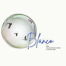 Mi proyecto del curso: Diseño de presentaciones: crea una plantilla profesional. Un progetto di Gestione progetti di design, Graphic design, Design dell’informazione, Marketing, Comunicazione e Design di presentazioni di Aliandra Basora Mateo - 02.07.2024