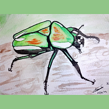 Mi proyecto del curso: Ilustración científica de animales en acuarela (escarabajo). Traditional illustration, Watercolor Painting, Realistic Drawing, and Naturalistic Illustration project by Ale Armenta - 07.02.2024