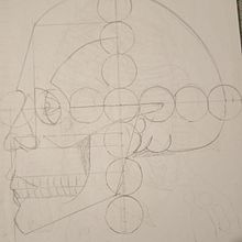 ZURSOIF dibujo anatomico Emilia Gabrielle. Un progetto di Disegno anatomico di Emilia Gomez Pedraza - 04.07.2024
