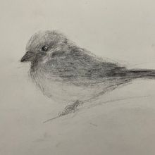 Charcoal Drawings Ein Projekt aus dem Bereich Artistische Zeichnung von Bhanu Prakash - 07.07.2024