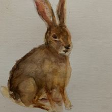 My project for course: Scientific Illustration of Animals in Watercolor . Projekt z dziedziny Trad, c, jna ilustracja, Malowanie akwarelą, R, sunek realist, czn, Ilustracja naturalist i czna użytkownika Jenny Alphen - 07.07.2024