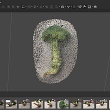 Mi proyecto del curso: Introducción a la fotogrametría 3D. 3D, 3D Modeling, Video Games, 3D Design, and Game Design project by Xoimy K. Tabilo A. - 06.06.2024