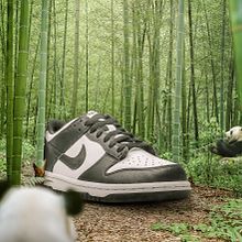 Dunk Panda Low - Proyecto de Fotomontaje surrealista con Photoshop. Un proyecto de Retoque fotográfico, Fotografía digital, Composición fotográfica, Fotomontaje, Publicidad y Fotografía de Luis A. San Martin Brito - 02.07.2024
