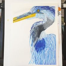 Great Blue Heron. Traditional illustration, and Painting project by wardbrett65 - 07.06.2024