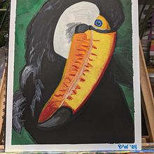 Tucan. Traditional illustration, Painting, and Gouache Painting project by wardbrett65 - 06.20.2024