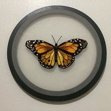 Meu projeto do curso: Técnicas de bordado realista. Un proyecto de Ilustración tradicional, Bordado y Diseño textil de Agnes Passos - 09.07.2024