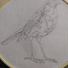 Pajarito. Un proyecto de Bordado de Mónica María Acosta Pulgarin - 09.07.2024