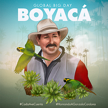 Diseño de afiche ilustrado para el Global Big Day 2021 Colombia. Digital Illustration project by Javier Piragauta - 05.03.2021