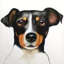 Mi proyecto del curso: Retratos de Mascotas en Lápices de Colores. Traditional illustration, and Naturalistic Illustration project by César Alberto Uribe Carmona - 10.28.2023