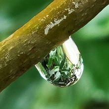 After the rain. Photograph project by descheppernadege - 09.23.2022