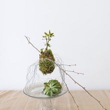 Ikebana hanakubari. Un progetto di Design floreale e vegetale di Zahra Japan - 19.03.2019