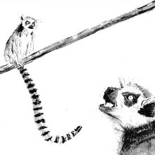 My project for course: Animal Illustration with Charcoal and Ink. Fine Arts, Drawing, Ink Illustration, and Naturalistic Illustration project by sjwsarahjane - 07.01.2024