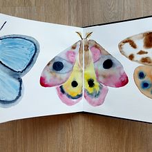 Creative Watercolor Sketching for Beginners. Traditional illustration, Sketching, Creativit, Drawing, Watercolor Painting, and Sketchbook project by LuiseKrahl - 07.10.2024