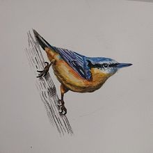 Trepador azul y garza azul. Traditional illustration, Watercolor Painting, Realistic Drawing, and Naturalistic Illustration project by Laura - 07.11.2024