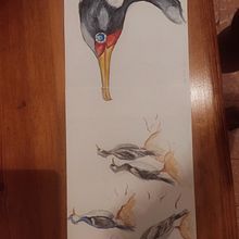 Lile chileno. Chumberas andaluzas.. Pencil Drawing, Drawing, Watercolor Painting, Sketchbook, and Naturalistic Illustration project by Laura - 07.11.2024