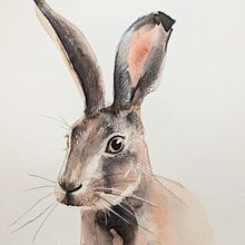My project for course: Experimental Watercolor Techniques for Beginners. Un proyecto de Ilustración tradicional, Bellas Artes, Pintura a la acuarela e Ilustración naturalista				 de Christa - 08.07.2024