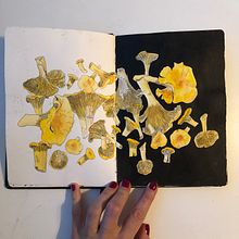 My project for course: Botanical Sketchbooking: A Meditative Approach. Un proyecto de Bocetado, Dibujo, Pintura a la acuarela, Ilustración botánica y Sketchbook de olsay - 12.07.2024