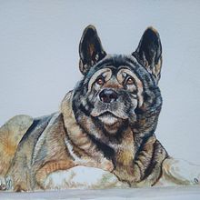 Mi proyecto del curso: Retratos expresivos de animales en acuarela. Traditional illustration, Watercolor Painting, Realistic Drawing, and Naturalistic Illustration project by Beatriz Valdés - 07.13.2024
