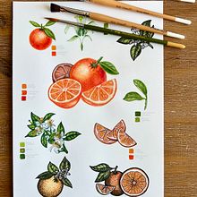 Botanical Orange Fruit Painting. Projekt z dziedziny Trad, c, jna ilustracja i Craft użytkownika Analia Magu - 13.07.2024