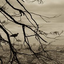 Mi proyecto del curso: Introducción a la fotografía de viaje. Un progetto di Fotografia, Fotografia all'aperto, Fotografia per Instagram, Fotografia documentaria e Composizione fotografica di Lina Cristina Correal Herrera - 13.07.2024