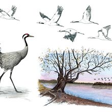 Mon projet du cours : Carnet de voyage à l’aquarelle. Un proyecto de Pintura a la acuarela, Sketchbook, Ilustración tradicional e Ilustración arquitectónica de Angélique Moreau - 13.07.2024