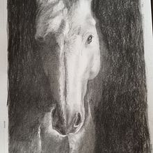 Il mio progetto del corso: Immagini realistiche della fauna in matita grafite. Een project van  Beeldende kunst,  Tekening, Realistische tekening y Naturalistische illustratie van parodisonialaura - 14.07.2024