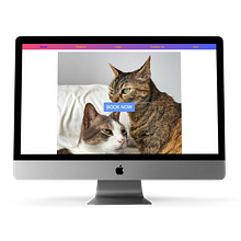 Book a Petsitter. Un progetto di Web design, Design per smartphone, Progettazione di applicazioni, Design digitale, Web development e Programmazione di Hamit Oben Ozyakali Tibar - 14.07.2024