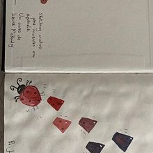 Meu projeto do curso: Sketching criativo para iniciantes em aquarela. Traditional illustration, Sketching, Creativit, Drawing, Watercolor Painting, and Sketchbook project by Helen Strapassão - 05.19.2024