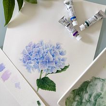 Il mio progetto del corso: Illustrazioni botaniche ad acquerello: tecnica del tratteggio. Fine Arts, Painting, Watercolor Painting, and Botanical Illustration project by Jessica Grillo - 07.14.2024