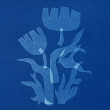Reaching Transparency, a Cyanotype Project. Een project van Craft,  Beeldende kunst, Printen, DIY y  Analoge fotografie van baviguier - 14.07.2024