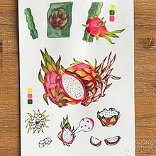 Botanical Dragon Fruit Painting. Traditional illustration, Arts, and Crafts project by Analia Magu - 07.15.2024