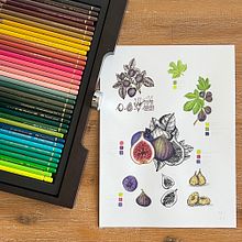 Botanical Fig Painting. Projekt z dziedziny Trad, c, jna ilustracja i Craft użytkownika Analia Magu - 15.07.2024