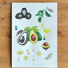 Botanical Avocado Painting. Un proyecto de Ilustración tradicional y Artesanía de Analia Magu - 15.07.2024