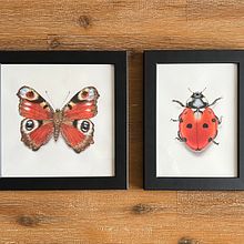 Insects Mixed Media Painting. Un proyecto de Ilustración tradicional y Artesanía de Analia Magu - 15.07.2024