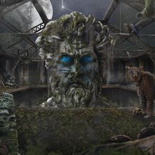 Il mio progetto del corso: Natura che invade , sguardi e .... Photograph, Collage, Photo Retouching, Fine-Art Photograph, Photographic Composition, and Photomontage project by gerardovaccaro - 07.15.2024