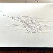 My project for course: Illustrated Diary: Fill Your Sketchbook with Experiences. Traditional illustration, Sketching, Drawing, and Sketchbook project by Maja Jensen - 07.01.2024