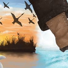 Mi proyecto del curso: Ilustración digital para cuentos infantiles el patito feo. Un proyecto de Ilustración tradicional, Dibujo, Ilustración digital, Ilustración infantil, Dibujo digital, Pintura digital y Narrativa de elenabefer - 17.07.2024
