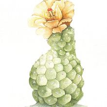 Mi proyecto del curso: Ilustración botánica en acuarela: Técnica del sombreado a rayas. Un progetto di Belle arti, Pittura, Pittura ad acquerello e Illustrazione botanica di Veronica Quercia - 19.07.2024