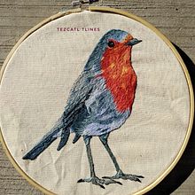 Mi proyecto del curso: Pintar con hilo: técnicas de ilustración textil. Ilustração tradicional, Bordado, e Design têxtil projeto de Tezcatl Tlines - 20.07.2024